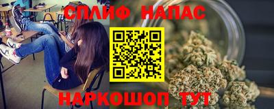 прущие крисы Новозыбков