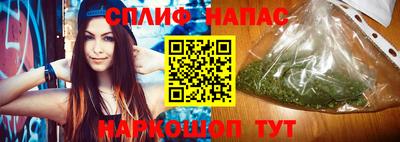 прущие крисы Новозыбков